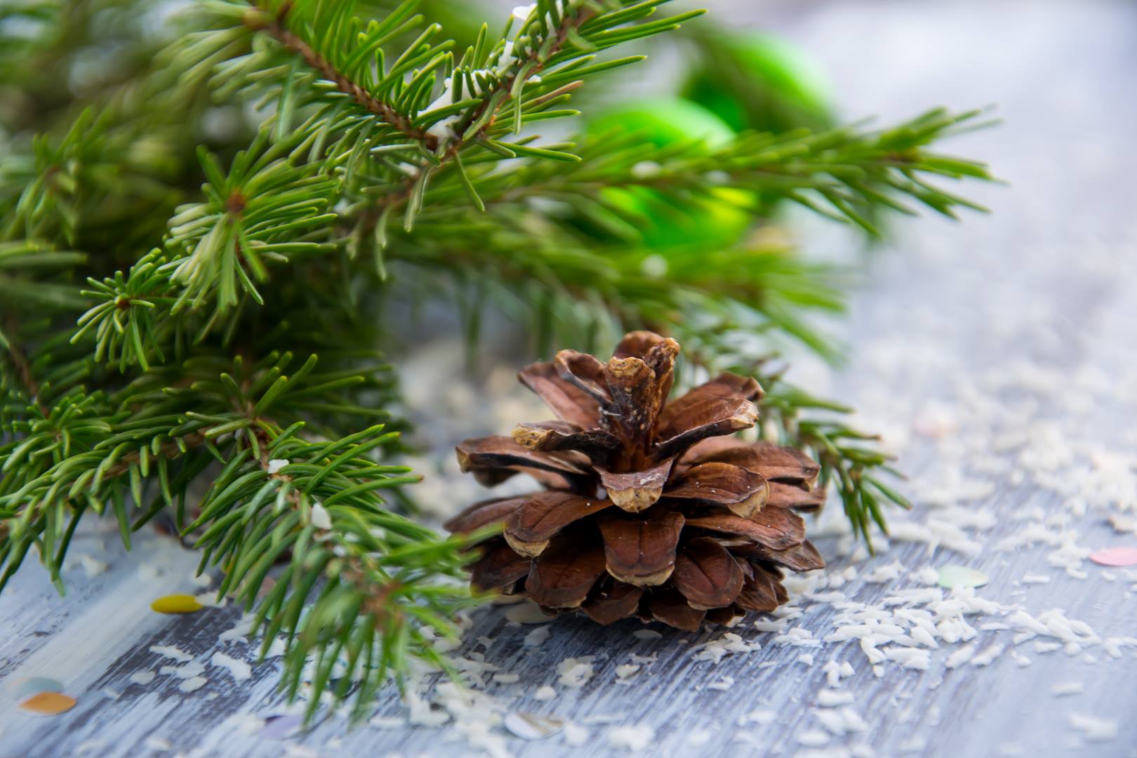 kerstboom laten logeren foto stocksnap Marina Pershina Groot