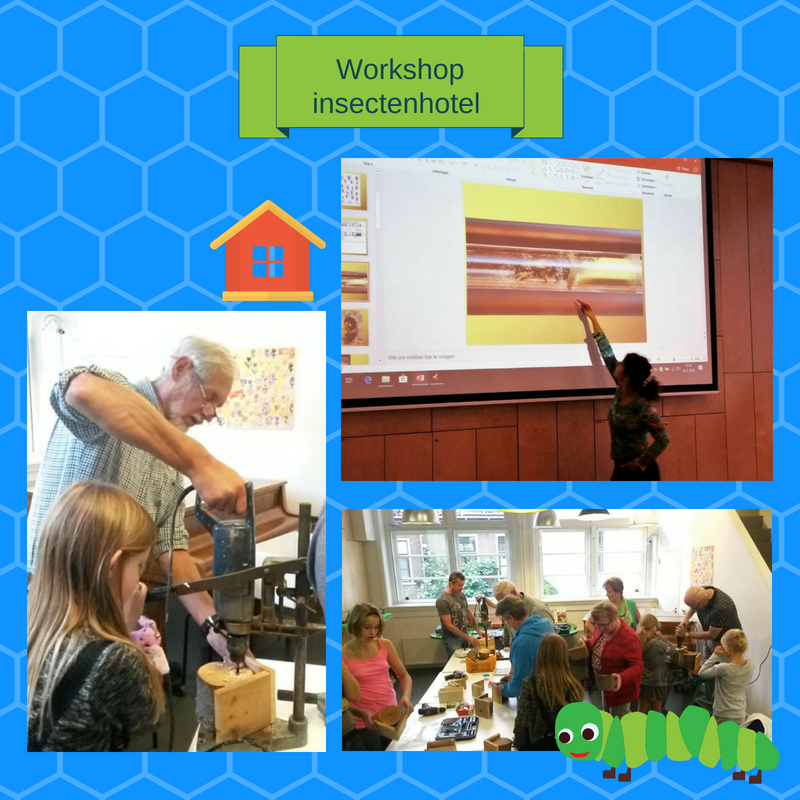 workshop insectenhotel