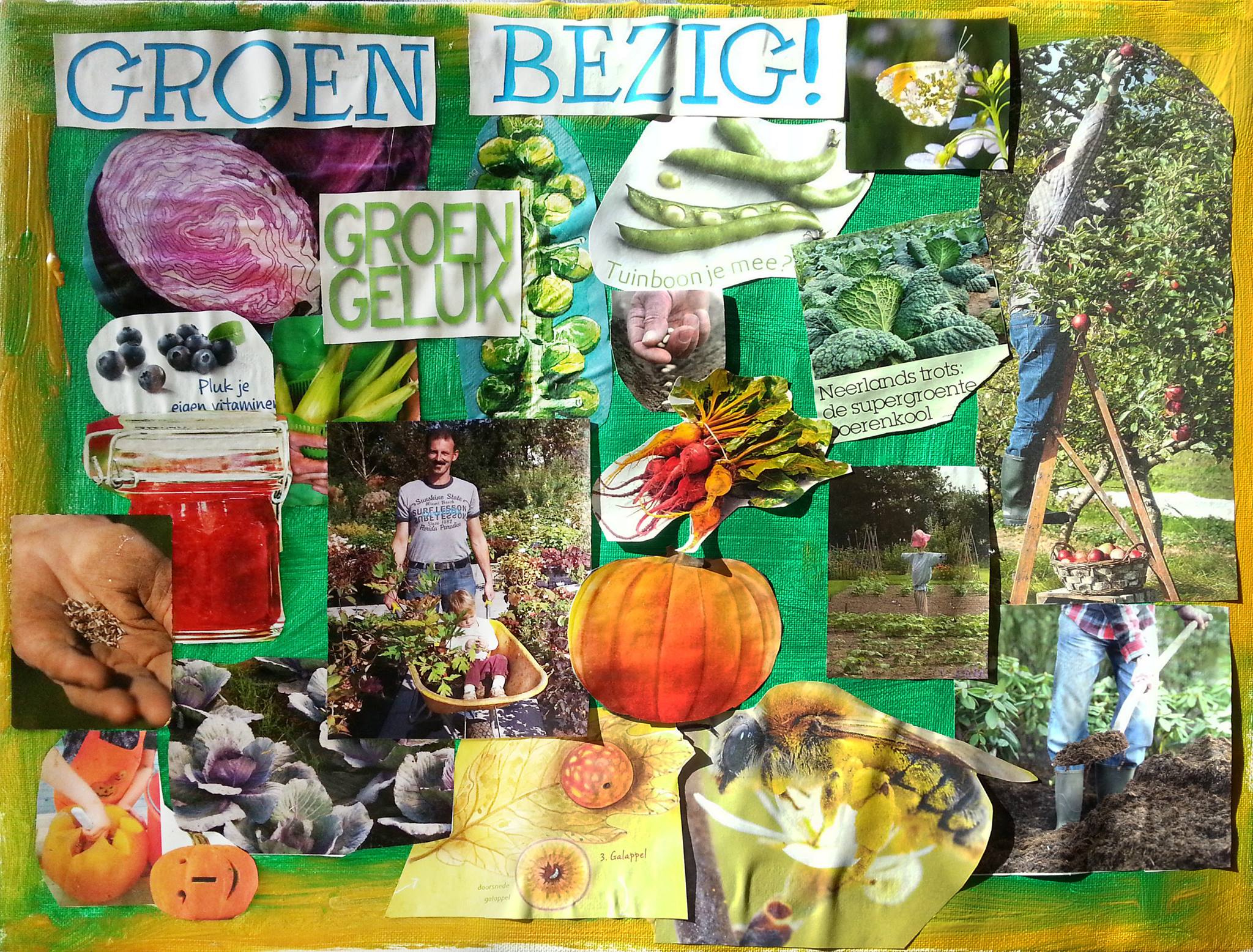 Moodboard Wijktuin Achterveld