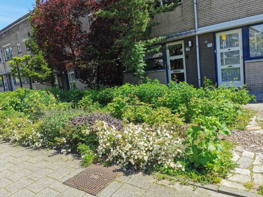 IMG 20210528 133525 Middel