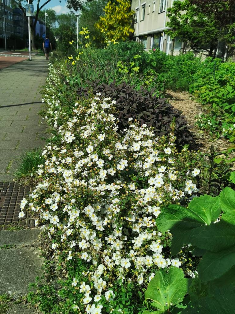 IMG 20210528 172602 Middel