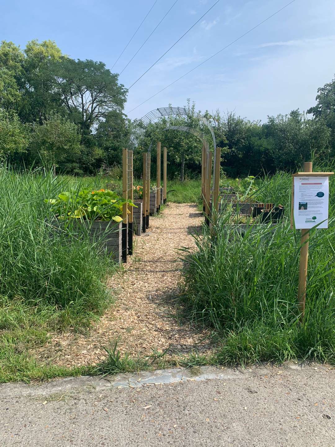 beleeftuin biezenpark 1 Groot