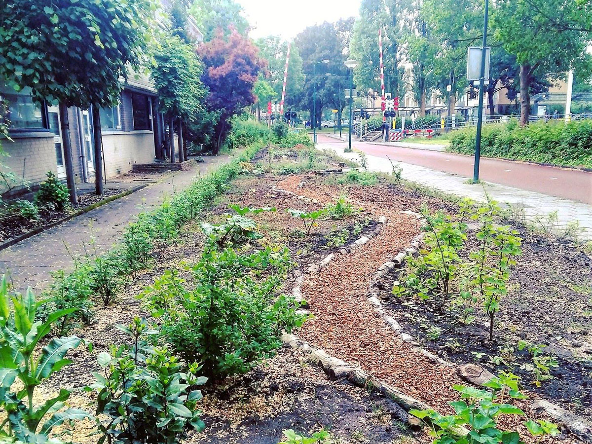 pluktuin poortdijk